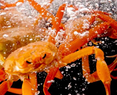 KFISH_photo_Crab1
